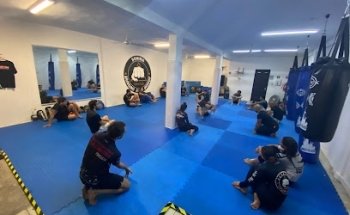 Dominio: Jiu Jitsu - Kickboxing - Boxeo - MMA - Acondicionamiento