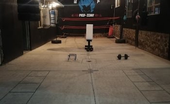 Boxeo estilo profesional PROFESOR JIMMY