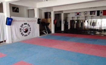 Taekwondo Tang Soo Do
