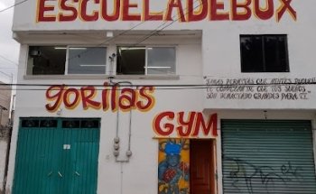 GYM GORILAS