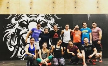 Lion's Den Crossfit