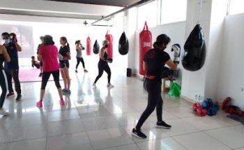 Escuela de boxeo Gorilas