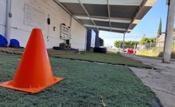 GV Athlete Performance