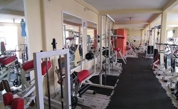 Gorila sport gym