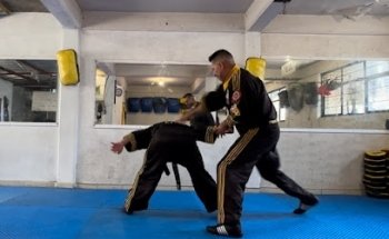 Limalama Tigres Dorados La Tolva