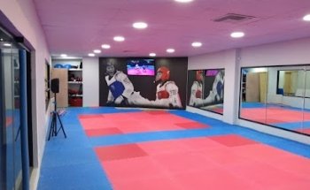 Halcones Taekwondo SB