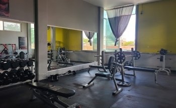 Gimnasio Seven Force