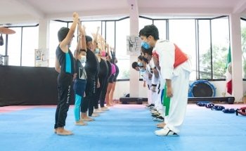 Elite De Taekwondo Marcial De Mexico 