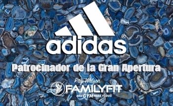 Ray Wilson FamilyFit Palmares