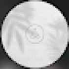 line up fitness studio