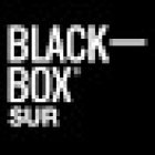 Black Box Sur - Clases de box y ejercicios funcionales