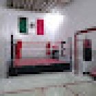 Escuela de box animas