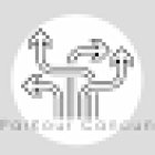 ParKour Cancun Unidad