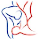 Dojo México - Judo, Jiu-jitsu & Defensa personal