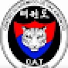 CAT TEAM TIGERS CEJUSA TAE KWON DO