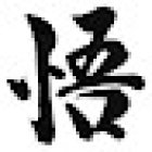 Aikido Satori México