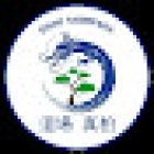 Shimpaku Martial Dragons