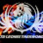 ETD LEONES TAEKWONDO