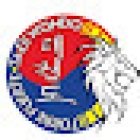 TAEKWONDO TORRE FUERTE