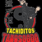 Tachiditos Tang Soo Do Karate Dif Vallado y Dif 05 de Febrero