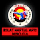 INSLAT MARTIAL ARTS MONCLOVA