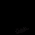 Aikido Satélite Bushin Dojo