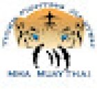 Academia Tiger Fighting Jiu Jitsu y MMA Neza