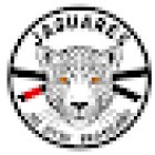 Jaguares Jiu Jitsu Brasileño