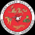 Tigre Negro Kwoon Reforma