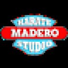 Karate Studio Madero