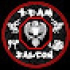 ARTES MARCIALES MIXTAS TEAM FALCON