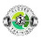 Clover training saltillo