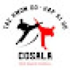 Tae Kwon Do San Juan Cosala