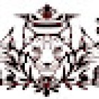 Brasilian fighting Linces