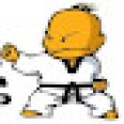 Taekwondo Jidokwan Alamedas