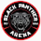 Black Panther MMA & Jiu-Jitsu