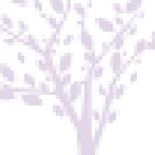 Centro Pro-Bienestar Personal