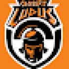 Ludus CrossFit Udlap