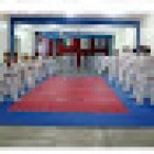 taekwondo tapachula