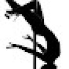 Piscis Pole Dance Linda Vista