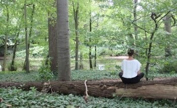 Yoga Mission Yogastudio (Amersfoort Vathorst)