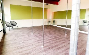 Denzz Paaldansstudio