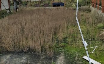 Abandoned horse stuff