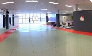 Renshu Fights - MMA in Groningen