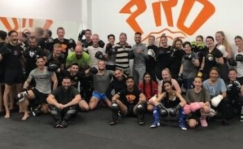 Pro Elite Kickboksen Zwolle
