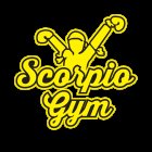 Scorpio Gym | Muay Thai Kickboxing Boxing MMA Bokszaktraining Personal Training Bootcamps