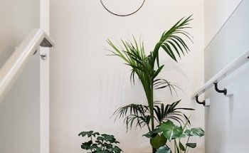 Tahi Health & Wellness Center