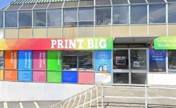 Crazy Monkey Defense New Zealand