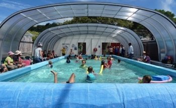 Little Makos Swim School