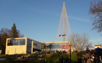 Solinca Light Ermesinde